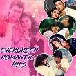 Evergreen Romantic Hits | Sonu Nigam, Alka Yagnik