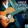 A Night of Country Singing, Vol. 3 | Jerry Wallace