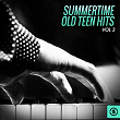 Summertime Old Teen Hits, Vol. 3 | Del Vikings
