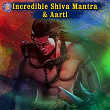 Incredible Shiva Mantra & Aarti | Vighnesh Ghanapaathi, Gurumurthi Bhat, Shridhara Bhat Vedadhara