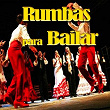 Rumbas para Bailar | Los Chamarones