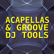 Acapellas & Groove DJ Tools | Jason Rivas, Jenny & Her Microhouse Band
