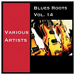 Blues Roots, Vol. 14 | Sam Washboard