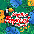 Viejoteca Tropical / El Mecánico | Edmundo Arias Y Su Orquesta
