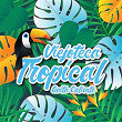 Viejoteca Tropical / Gaita Caliente | Lucho Bermudez