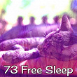 73 Free Sleep | Einstein Baby Lullaby Academy