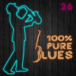 100% Pure Blues, Vol. 26 | James Elmore