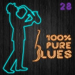 100% Pure Blues / 28 | James Elmore