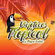 Viejoteca Tropical / La Negra Celina | Anibal Velasquez Y Su Conjunto