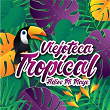 Viejoteca Tropical / Adiós Mi Maye | Guillermo Buitrago Y Sus Muchachos
