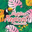 Viejoteca Tropical / Honda Herida | Alejandro Durán