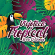 Viejoteca Tropical / Se Va el Caimán | Edmundo Arias Y Su Orquesta