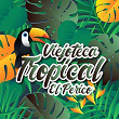 Viejoteca Tropical / El Perico | Cuarteto Imperial