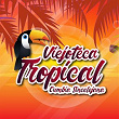 Viejoteca Tropical / Cumbia Sincelejana | Nano Narvaez