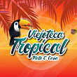 Viejoteca Tropical / Mata E' Caña | Calixto Ochoa Y Su Conjunto
