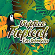 Viejoteca Tropical / Los Sabanales | Calixto Ochoa Y Su Conjunto