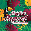 Viejoteca Tropical / Cumbia Sampuesana | Conjunto Lirico Vallenato