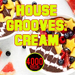 House Grooves: Cream | Jason Rivas, World Vibe Music Project