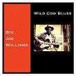 Wild Cow Blues | Big Joe Williams