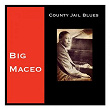 County Jail Blues | Big Maceo Merriweather