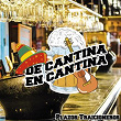 De Cantina En Cantina / Plazos Traicioneros | Johnny Albino Y Su Trío San Juan
