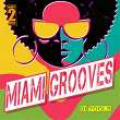 Miami Grooves (DJ Tools) | Glitch Vuu