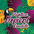 Viejoteca Tropical / Conchita | Clímaco Sarmiento Y Su Orq.
