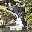 Purify | Marcus Gad