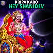 Kripa Karo Hey Shanidev | Vighnesh Ghanapaathi, Gurumurthi Bhat, Shridhara Bhat