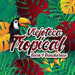 Viejoteca Tropical / Guiro y Guacharaca | Clímaco Sarmiento Y Su Orquesta