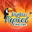 Viejoteca Tropical / Cimarrón | Pedro Laza Y Sus Pelayeros