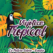 Viejoteca Tropical / La Pollera Colora - Cumbia | Billo S Caracas Boys
