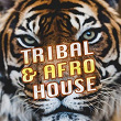 Tribal & Afro House | Jason Rivas