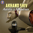 Akhand Shiv Aartis & Mantras | Vighnesh Ghanapaathi, Gurumurthi Bhat, Shridhara Bhat