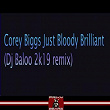 Just Bloody Brilliant (DJ Baloo Remix) | Corey Biggs, Dj Baloo