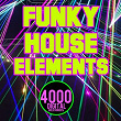 Funky House Elements | Asely Frankin, Jason Rivas