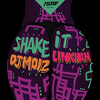 Shake It (feat. Linkhan) | Dj Moiz
