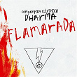 Flamarada | Companyia Elèctrica Dharma