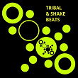 Tribal & Shake Beats | Jason Rivas, Medud Ssa