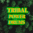 Tribal Power Drums | Cellos Balearica