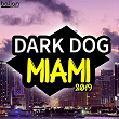 Dark Dog Miami 2019 | Marshall Jefferson, Steve "silk" Hurley, B. Lauren