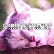 66 Sleepy Night Slumber | Einstein Baby Lullaby Academy