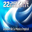 Grandes de la Música Tropical (22 Joyas Bailables) | Alberto Pacheco