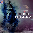 Rudra Chamakam | Vighnesh Ghanapaathi, Gurumurthi Bhat, Shridhara Bhat Vedadhara