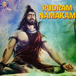 Rudram Namakam | Vighnesh Ghanapaathi, Gurumurthi Bhat, Shridhara Bhat Vedadhara