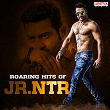 Roaring Hits of Jr. NTR | Umaneha, M. L. R. Karthikeyan, Bhargavi Pillaye, Simha, Rahul