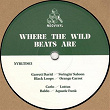 Where the Wild Beats Are | David Garrett