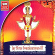 Jay Shree Swamainarayan, Vol. 3 | Suresh Wadekar