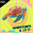 Downtempo & Lo-Fi | Jason Rivas, Flowzhaker