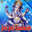 Jai Jai Ganesh | Ananya